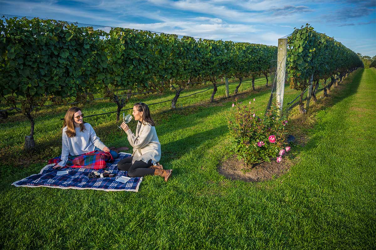 Women having a picnic outside