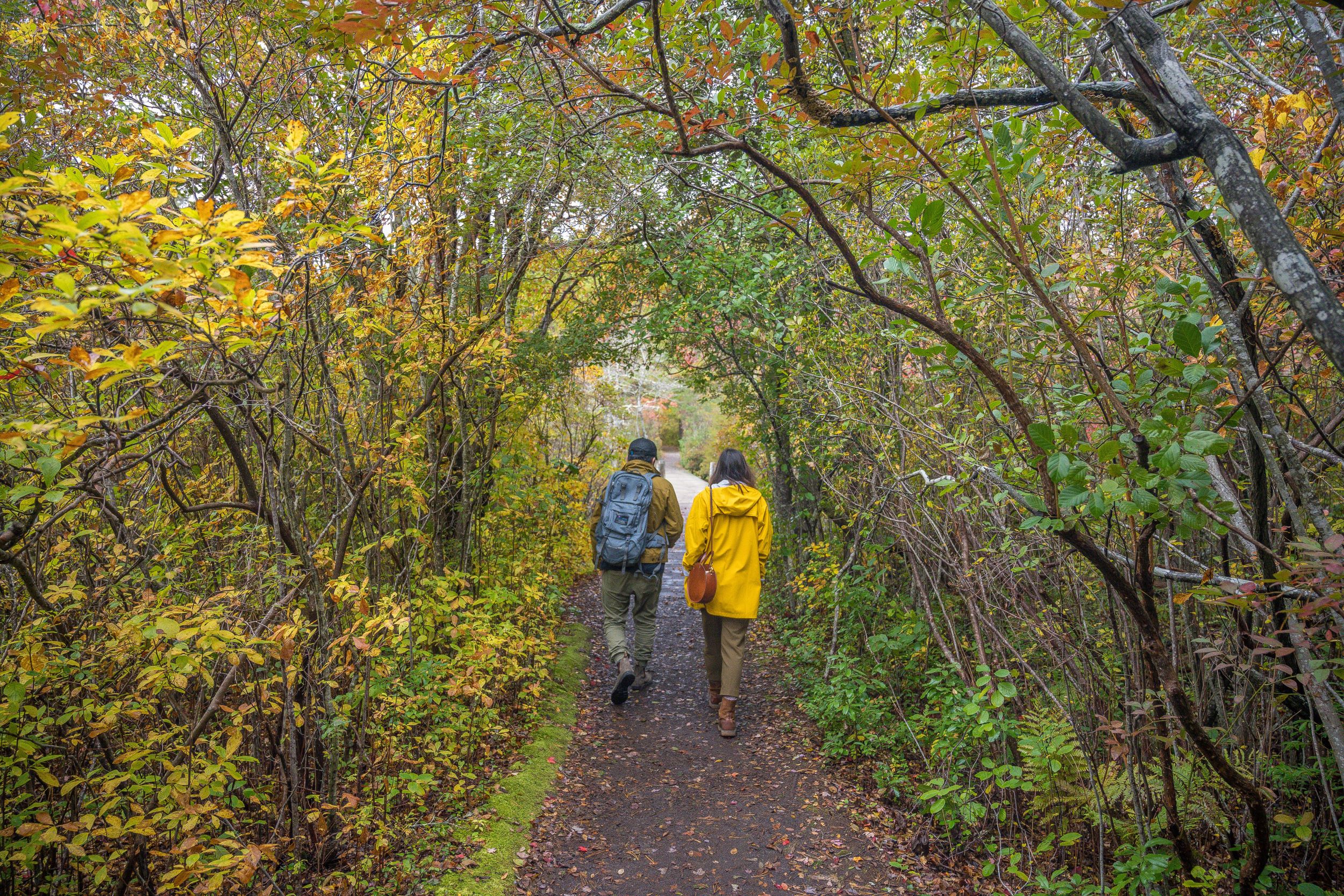 Couple hiking on nature trail