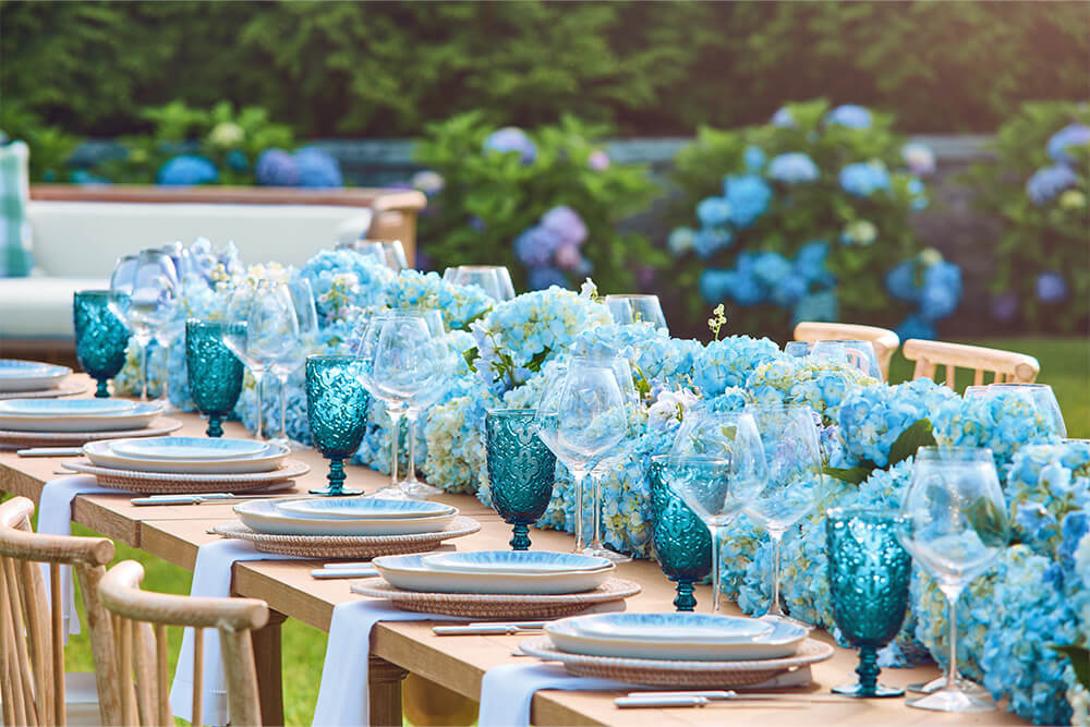 Blue flowers and decoration reception area