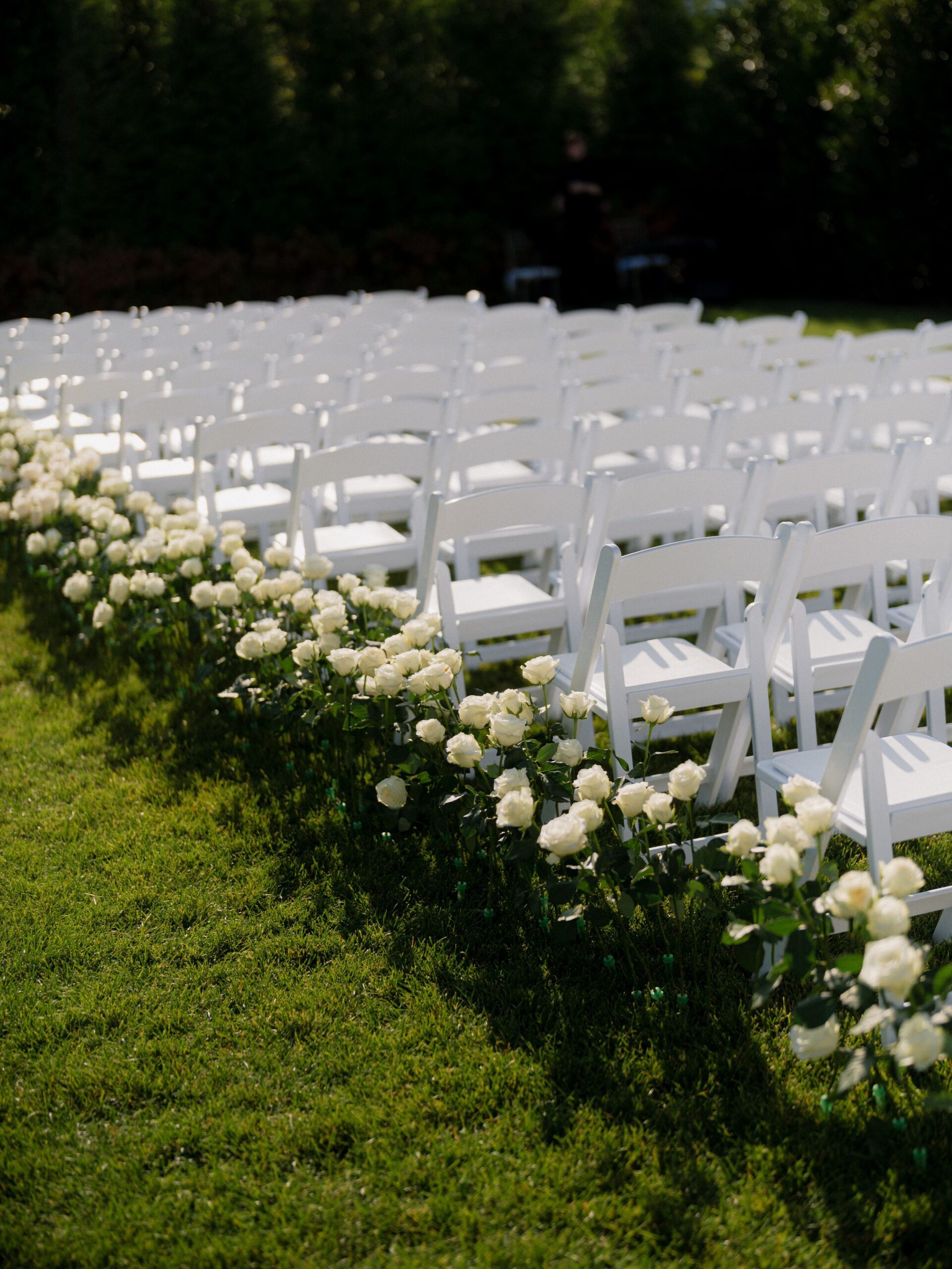 Jenna.Jacob.Wedding-Sneaks-1047-4d16f0e8-2500